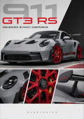 Ice Grey Porsche 911 GT3 RS artwork